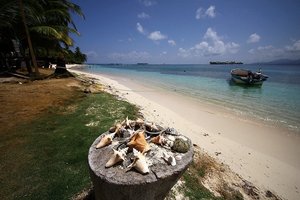 Filmska Afrika in Centralna Amerika - 8267.JPG