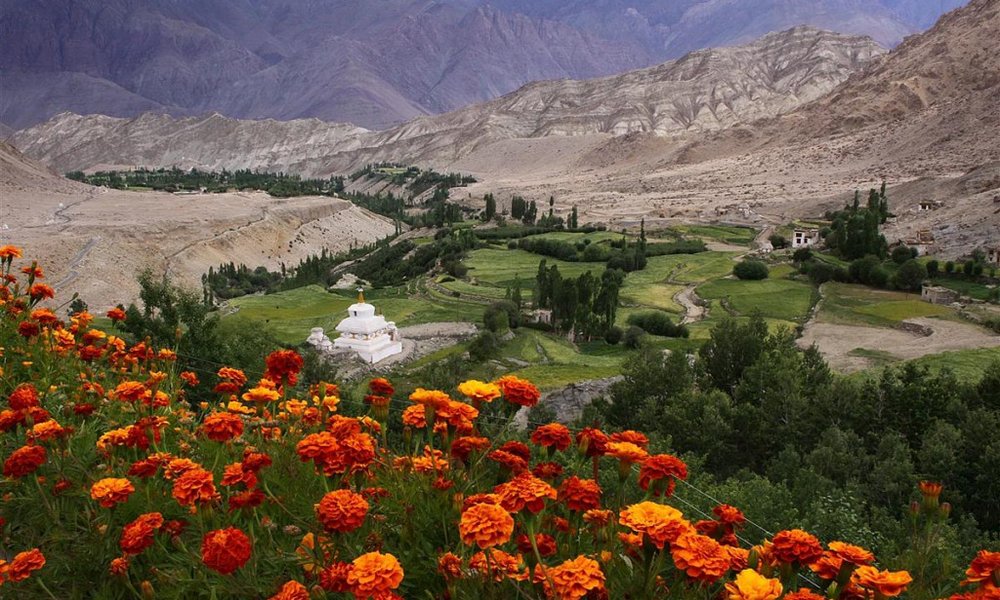 Ladak in Kašmir ter Nepal in Tibet - 8321.jpg