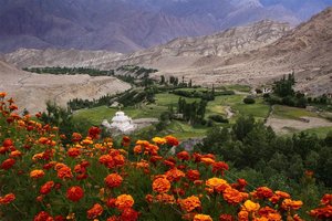 Ladak in Kašmir ter Nepal in Tibet - 8321.jpg