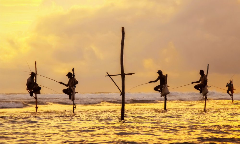 Šri Lanka in Maldivi - 8345.jpg