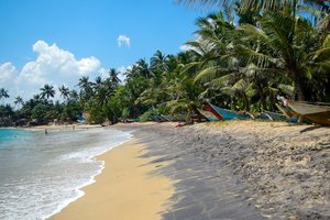 Šri Lanka - 8352.jpg