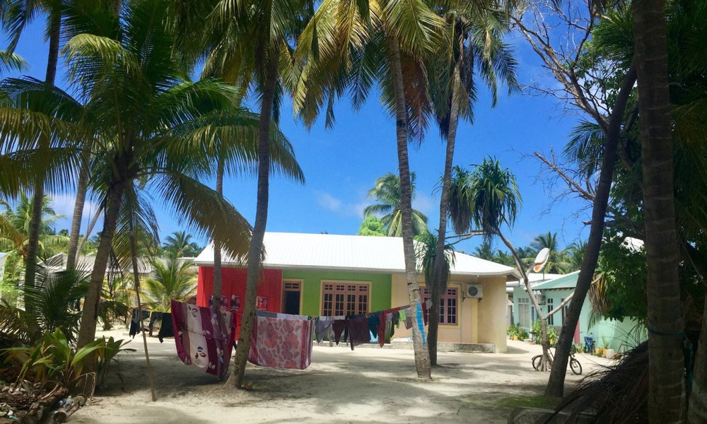 Maldivi, Baa atol in mante - 8428.jpg