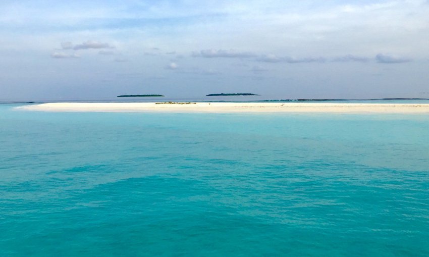 Maldivi, Baa atol in mante - 8432.jpg