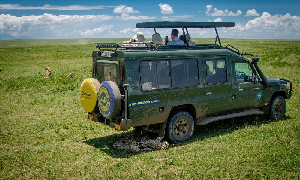 Senca čez dan je vedno dobrodošla