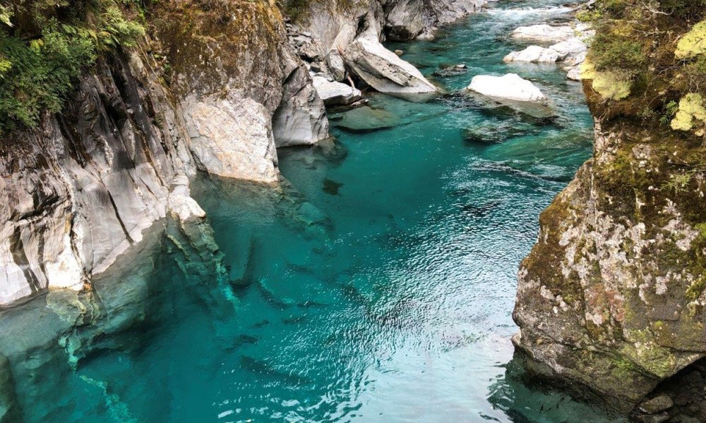 Nova Zelandija - 8526.jpg