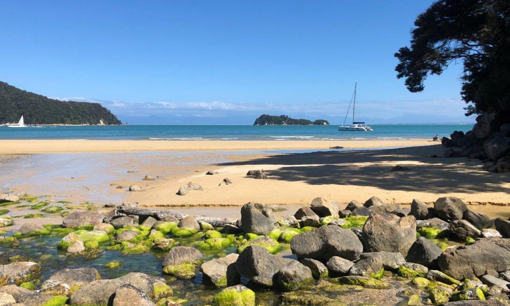 Nova Zelandija - 8532.jpg