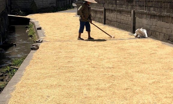 Bali, za družine - 8543.jpg