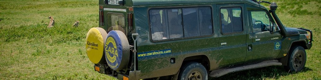 Tanzanija: safari Mikumi in Zanzibar