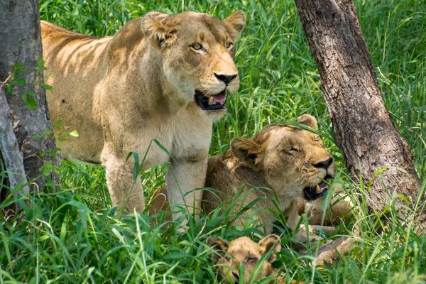 Južna Afrika, država polna presenečenj - 8577.jpeg