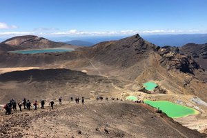 Dežela tam nekje daleč stran, Nova Zelandija - 8646.jpg