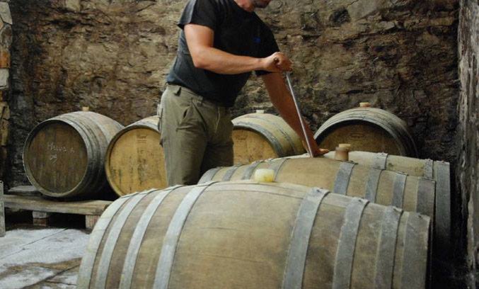 Šluk bus - v Vipavsko dolino - 8673.jpg