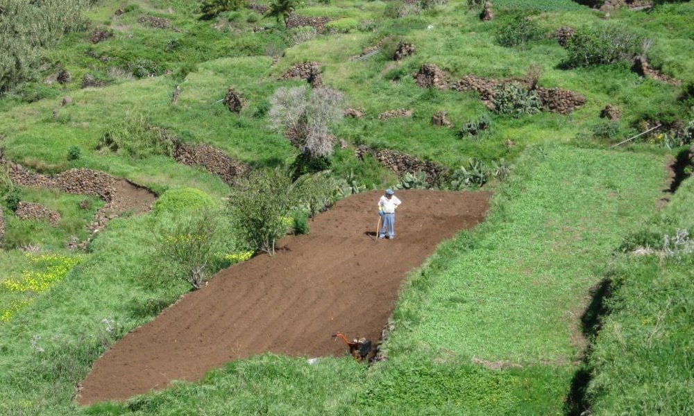 Kanarski otoki: Tenerife in La Gomera - 8731.jpg