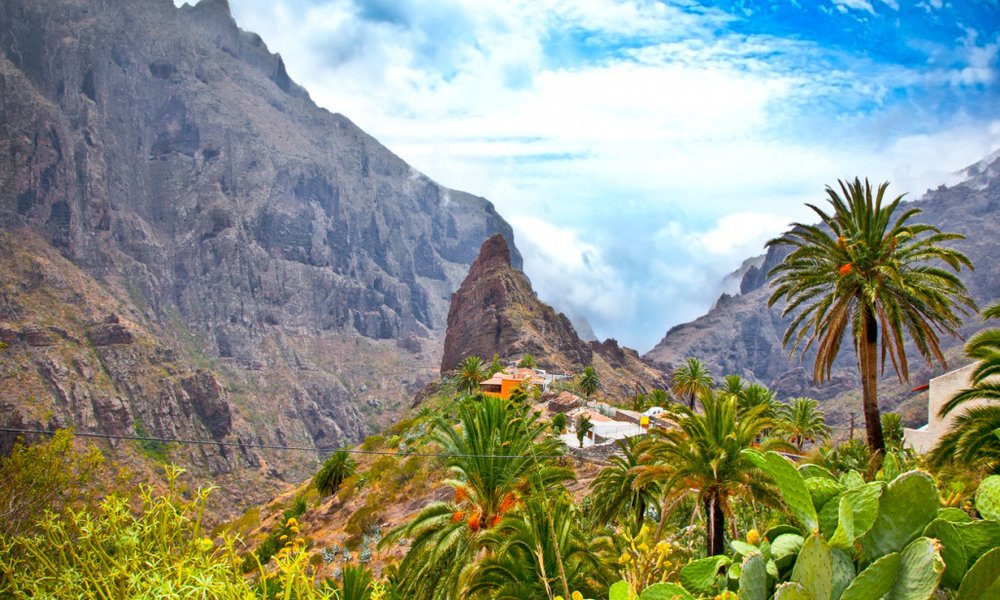 Kanarski otoki: Tenerife in La Gomera - 8737.jpg