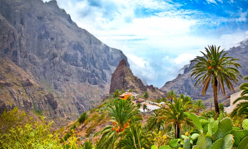 Kanarski otoki: Tenerife in La Gomera - 8737.jpg