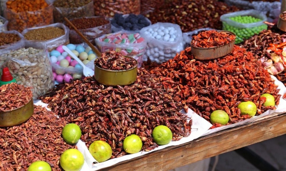 Mehika grande - 8764.jpg