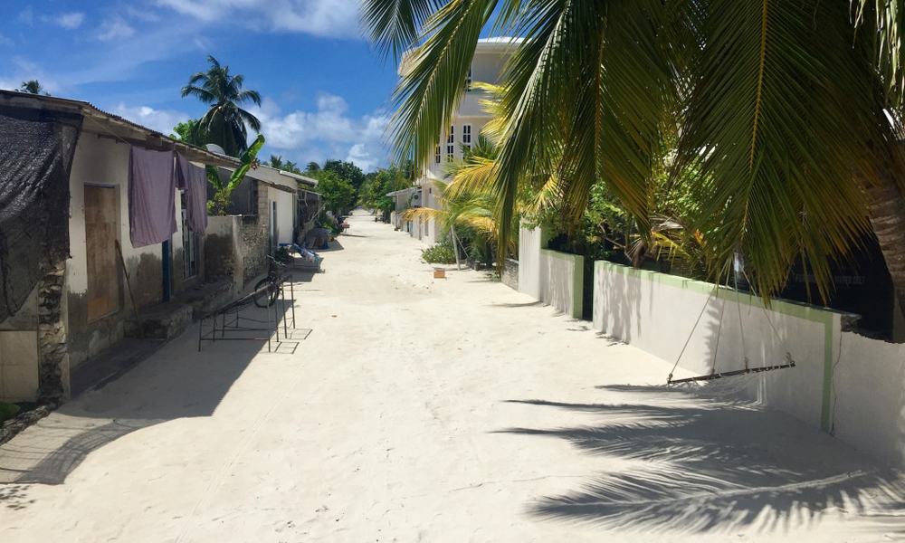 Maldivi potapljanje, Baa atol - 8812.jpg