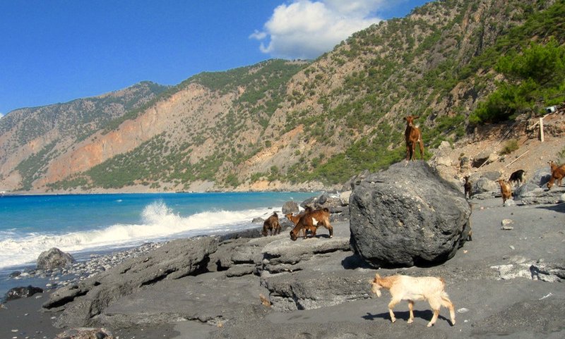 Kreta, treking po Lefka Ori (E4), Grčija - 8875.jpg