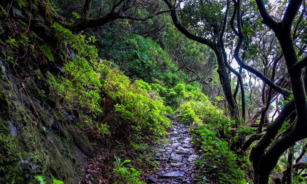 La Palma rezervat biosfere