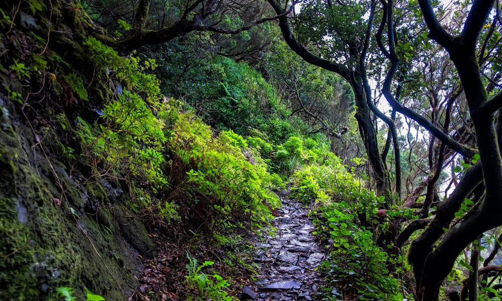 La Palma rezervat biosfere