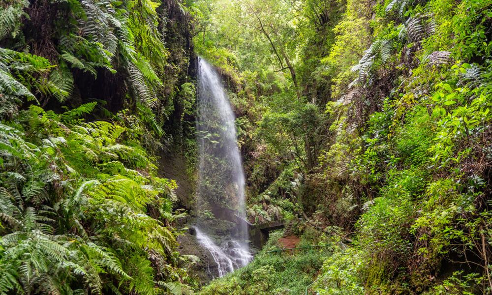 La Palma, UNESCO rezervat biosfere