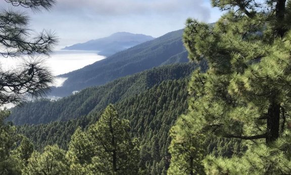 Kanarski otoki: La Palma - 8917.jpg