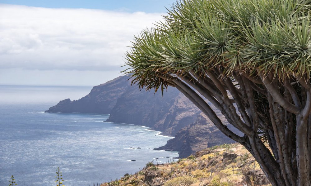 Severni del La Palme, naravno zaščiteno področje