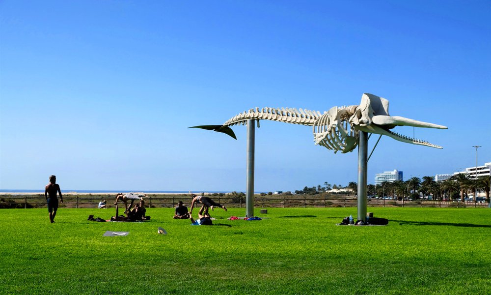 Kanarski otoki: Gran Canaria, Lanzarote, La Graciosa in Fuerteventura - 8936.jpg