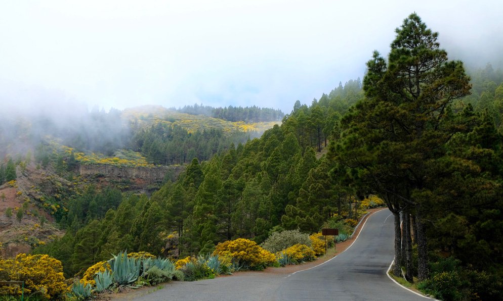 Kanarski otoki: Gran Canaria, Lanzarote, La Graciosa in Fuerteventura - 8941.jpg