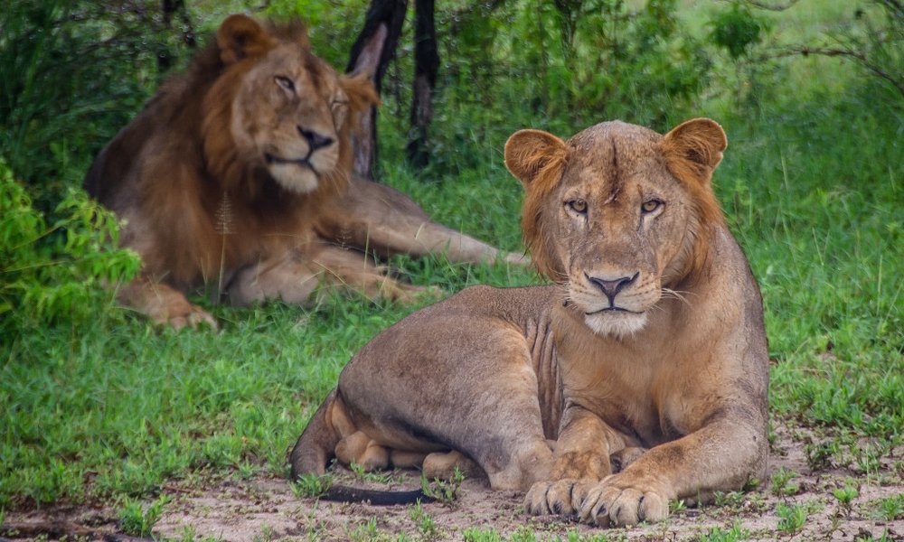 Zanzibar za družine - 8962.jpg