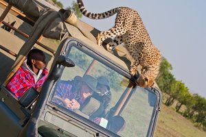 Kenija: safariji in rajske plaže - 8974.jpg