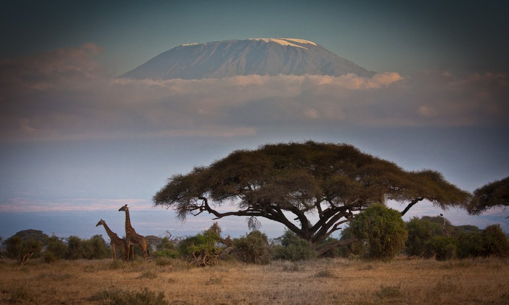 Kenija: safariji in rajske plaže - 8977.jpg