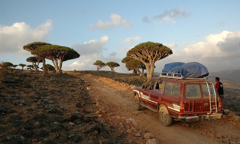 Sokotra, Jemen - 9002.JPG