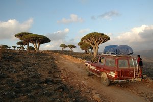 Sokotra, Jemen - 9002.JPG