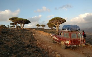 Sokotra, Jemen - 9002.JPG