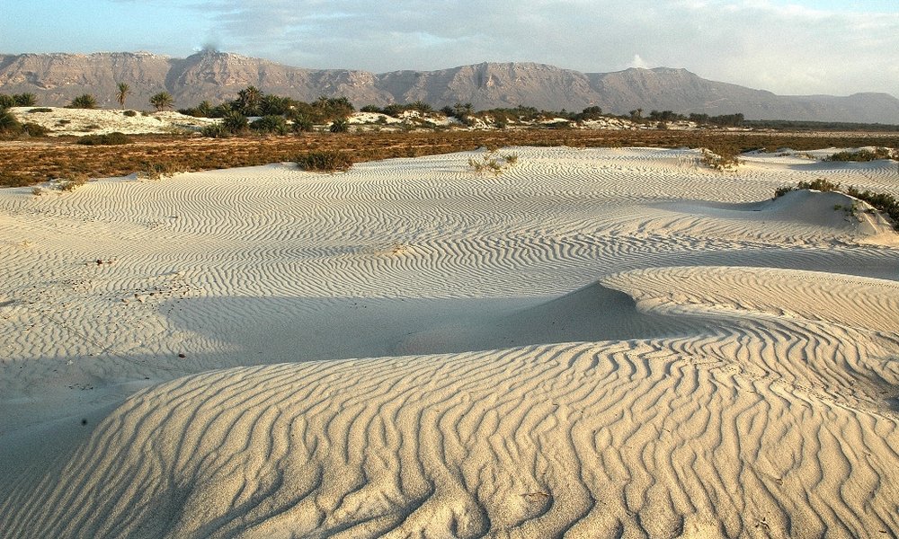 Sokotra, Jemen - 9004.JPG