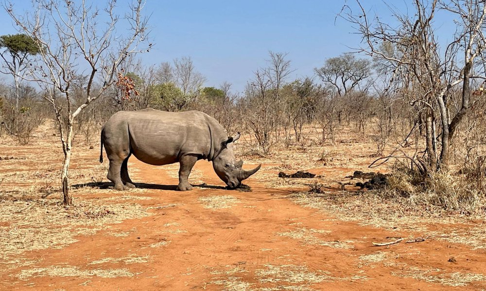 Zambija, avantura z jeepi - 9046.jpg