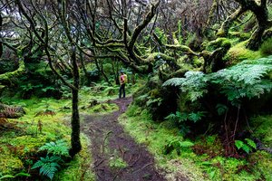 Dia FEST no.14 - festival popotništva in popotne fotografije - 9113.jpg