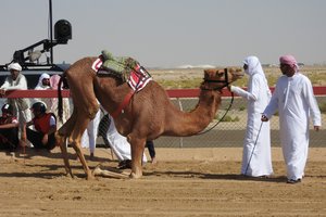 Dia FEST no.14 - festival popotništva in popotne fotografije - 9122.JPG