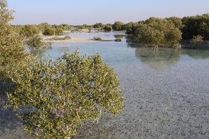 Dia FEST no.14 - festival popotništva in popotne fotografije - 9124.JPG
