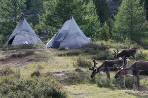 Dia FEST no.14 - festival popotništva in popotne fotografije - 9136.jpg