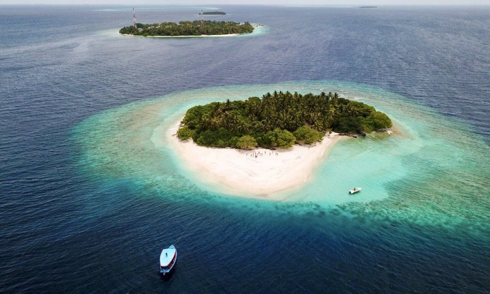 Maldivi, Baa atol in mante - 9163.jpg