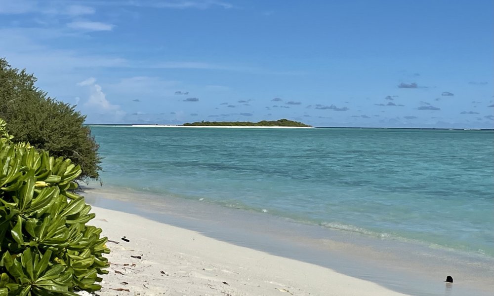 Maldivi otoka Mathiveri in Feridhoo - 9175.jpg