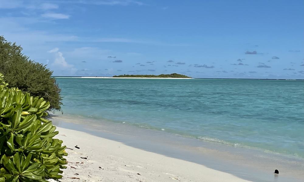 Maldivi otoka Mathiveri in Feridhoo - 9175.jpg