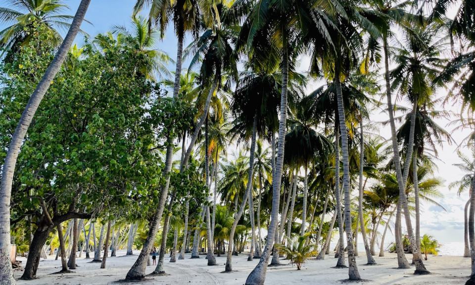 Maldivi otoka Mathiveri in Feridhoo - 9178.jpg