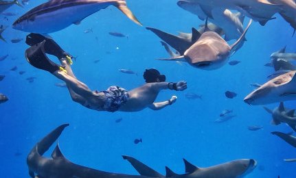 Maldivi  XL, počitnice za družine - 9234.jpg