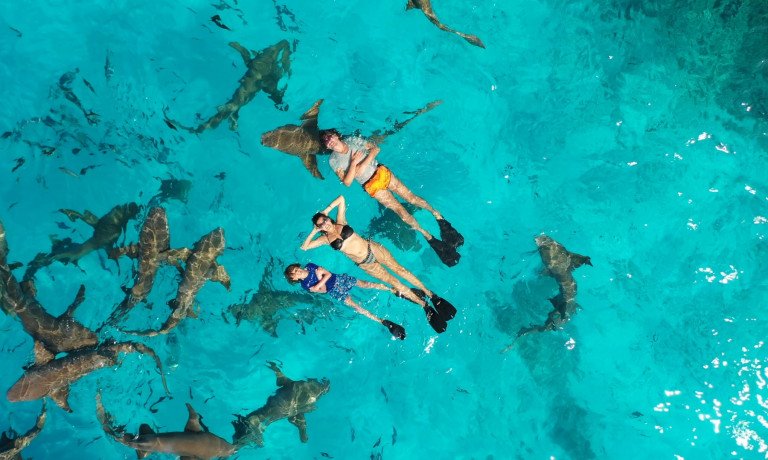 Maldivi  XL, počitnice za družine - 9243.jpg