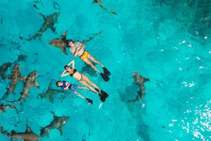 Maldivi  XL, počitnice za družine - 9243.jpg