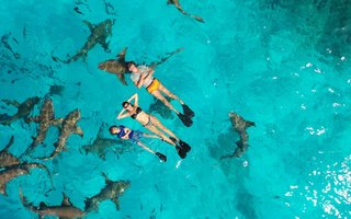 Maldivi  XL, počitnice za družine - 9243.jpg