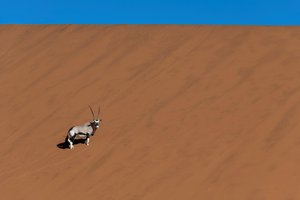 Dia FEST no.15 - festival popotništva in popotne fotografije - 9603.jpg