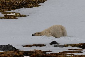 Dia FEST no.15 - festival popotništva in popotne fotografije - 9605.jpg